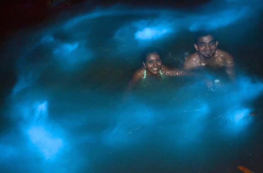 Jamaica: Bob Marley, Dunn's River Falls and Luminous Lagoon - Key Things That Make This Tour Worth Your Time