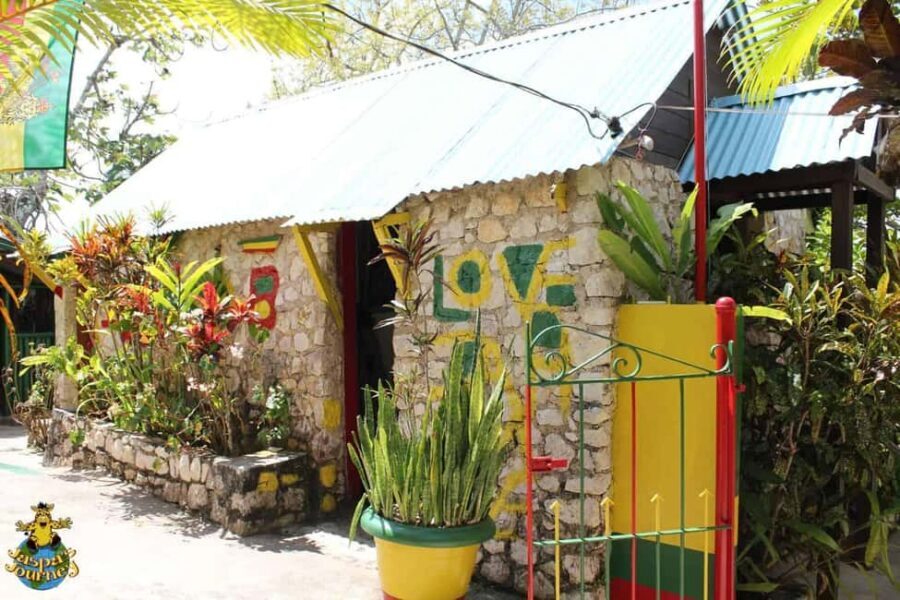 Jamaica: Bob Marley, Dunn's River Falls and Luminous Lagoon - Dunn’s River Falls: Climb the 600 Feet or Enjoy the Water World