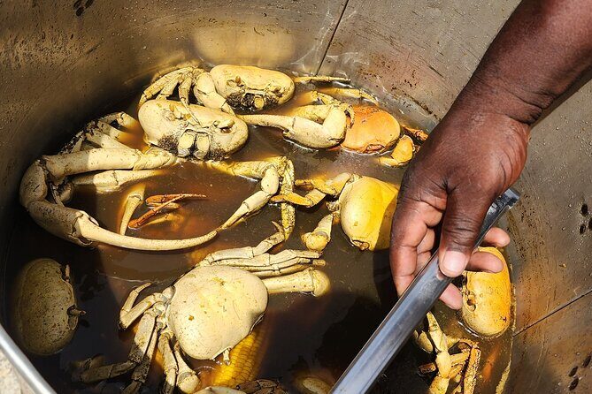 Jamaican Street Food and Rum Tasting Private Tour - Price and Value: Is $90 Worth It?