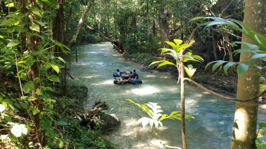 Jamaica's Dunn's River Falls & River Tubing Tour - Key Points I’d Zoom In On