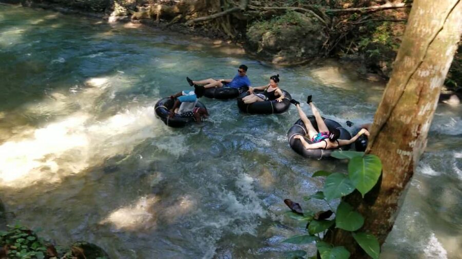 Jamaica's Dunn's River Falls & River Tubing Tour - Price and Fees: The Part You Should Do the Math On
