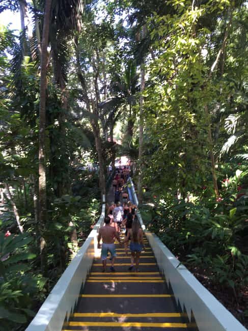 Jamaica's Dunn's River Falls & River Tubing Tour - Who This Tour Suits Best (and Who Might Feel It’s Not Ideal)
