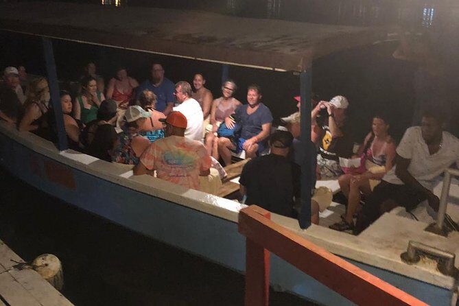 Luminous Lagoon After Dark Tour - Swim time tips: shoes, comfort, and staying safe in the dark
