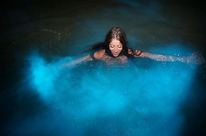 Luminous Lagoon Experience - Why the Luminous Lagoon Glows When You Move