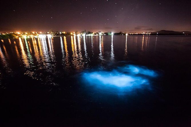 Luminous Lagoon Experience - The Boat Trip Out: When the Lagoon Becomes a Night Show