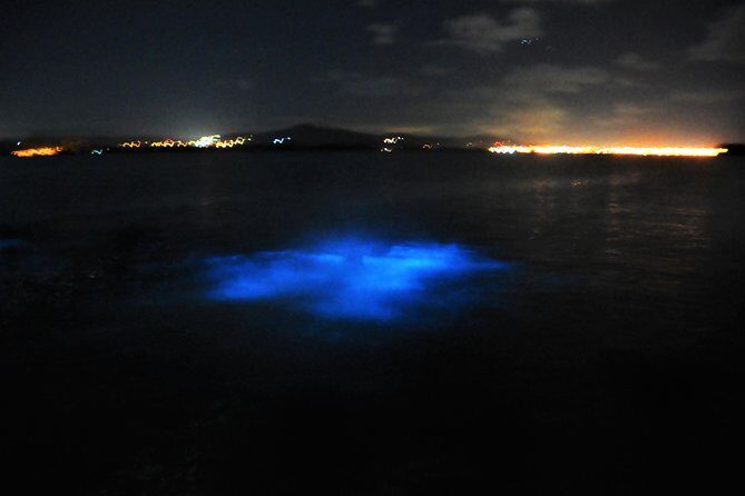 Luminous Lagoon "Glistening Waters" Tour from Grand Palladium Resorts - Rose Hall and Greenwood: worth the time, but don’t expect a long sit-down tour