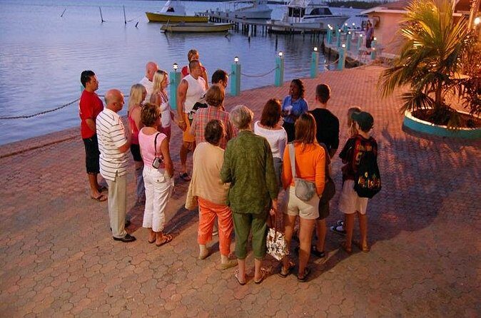 Luminous Lagoon Night Cruise From Montego Bay - The Guide Moment: Learning Without Turning It Into a Lecture