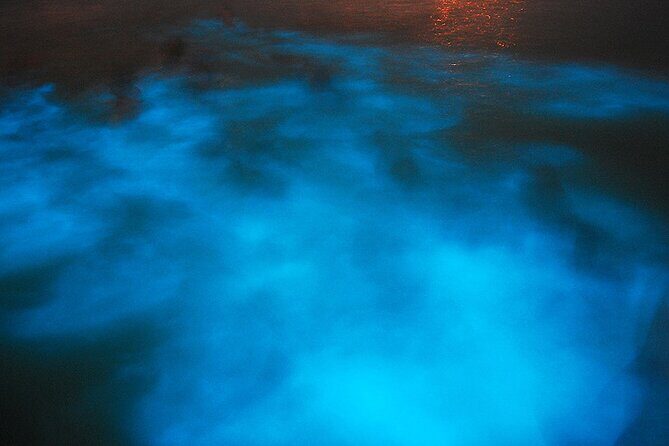 Luminous Lagoon Night Cruise From Montego Bay - The Value of Private Pickup: Why Your Transportation Matters Here