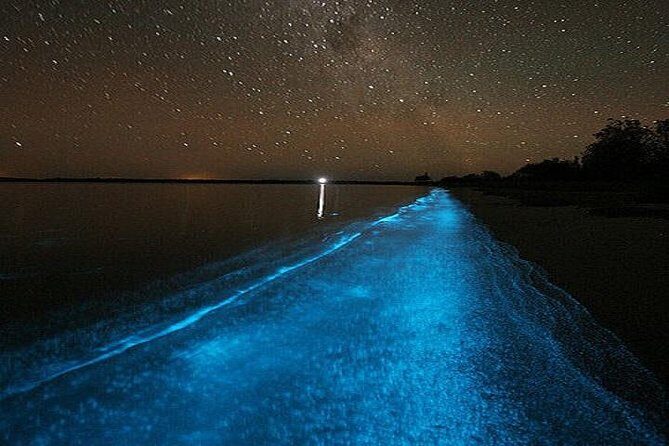 Luminous Lagoon Night-Time Tour from Montego Bay - Moonlight, Crowds, and How to Protect the Glow