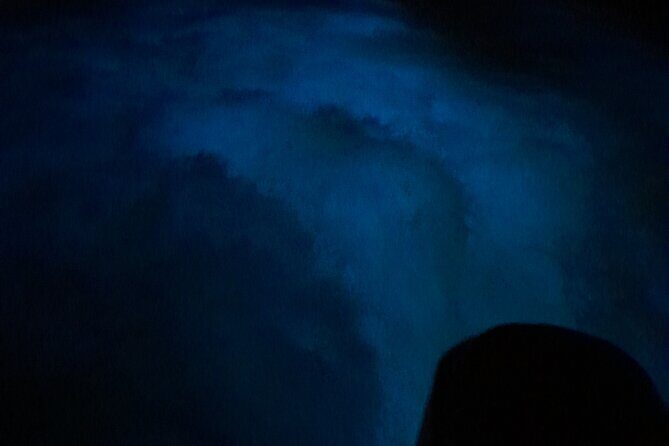 Luminous Lagoon Night Tour and Swim/Fire Dance from Montego Bay - Comfort Tips for Night Swimming in Jamaica