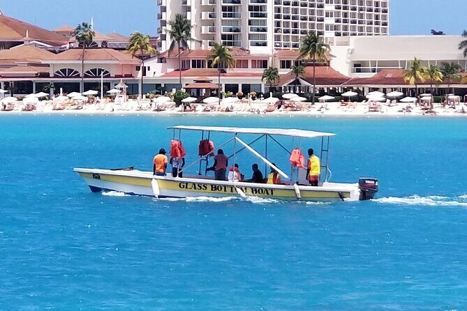 Luminous Lagoon Night Tour from Montego Bay - Weather, Mosquitoes, and the Glow Odds