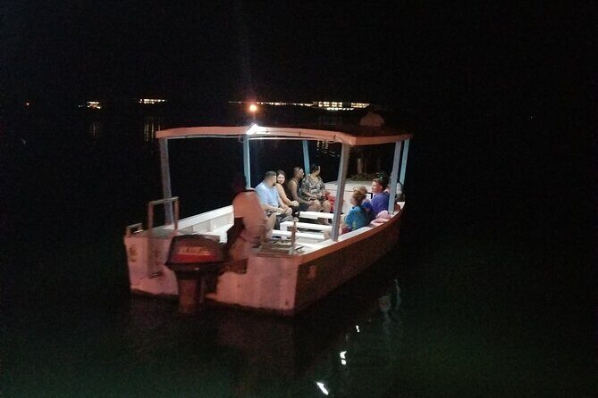 Luminous Lagoon Night Tour from Montego Bay - Practical Tips for a Better Luminous Lagoon Swim