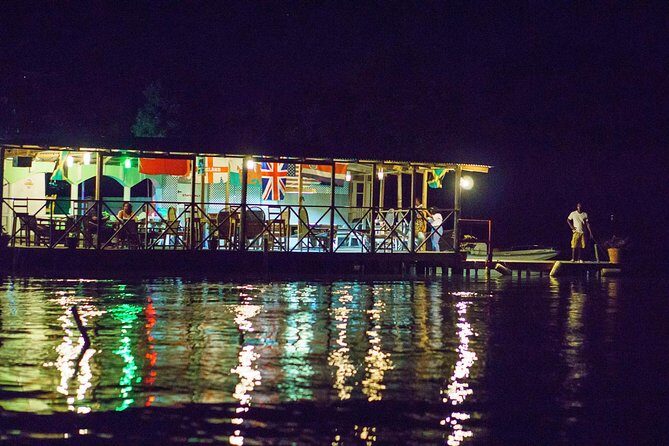 Luminous Lagoon Sightseeing Tour in Montego Bay - Luminous Lagoon at night: what you’re actually paying for