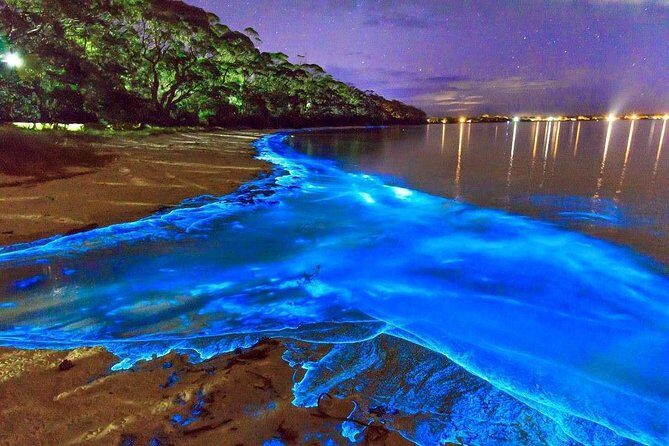 Luminous Lagoon Small Group Tour from Montego Bay - Key Highlights You’ll Actually Care About
