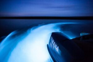 Luminous Lagoon Tour from Montego Bay - Hotel Pickup, a Professional Driver, and a Small Group Pace