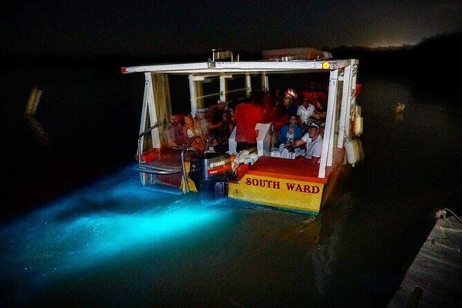 Luminous Lagoon Tour from Montego Bay ( Glistening Waters) - Why Jamaica’s Glistening Waters feel like science class after dark