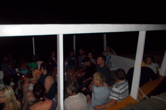 Luminous Lagoon Tour from Montego Bay & Rosehall Hotels - How the Luminous Lagoon Works (And What You’ll Actually See)