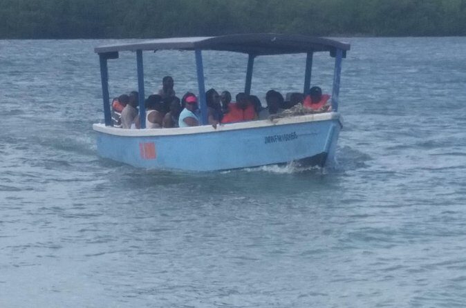 Luminous Lagoon Tour from Montego Bay & Rosehall Hotels - Swimming vs. Watching: Picking Your Comfort Level