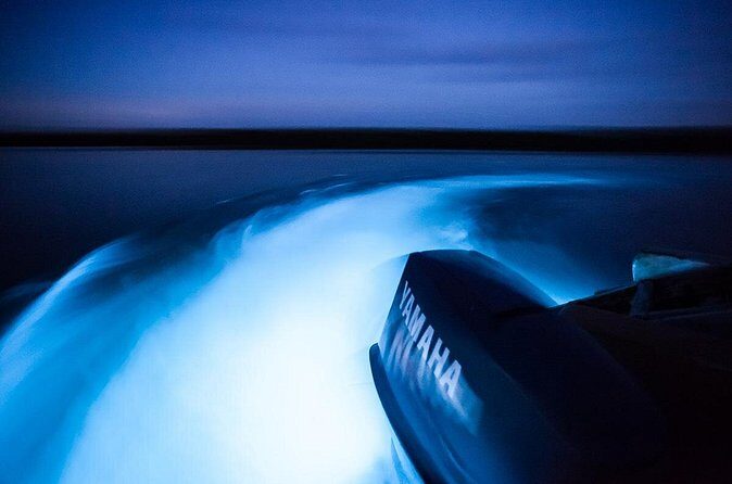 Luminous Lagoon Tour from Montego Bay - Hotel Pickup, a Professional Driver, and a Small Group Pace