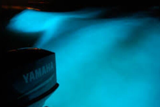 Magical Luminous Lagoon Private Tour - Who this private luminous lagoon tour is best for