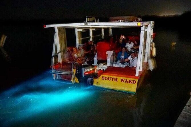 Magical Luminous Lagoon Private Tour - Hotel pickup and the ride to Glistening Waters dock