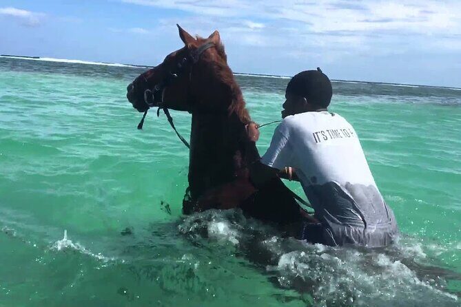 Martha Brae Rafting, Horseback Riding and Luminous Lagoon - Triple Treat - Key things that make this tour worth your attention