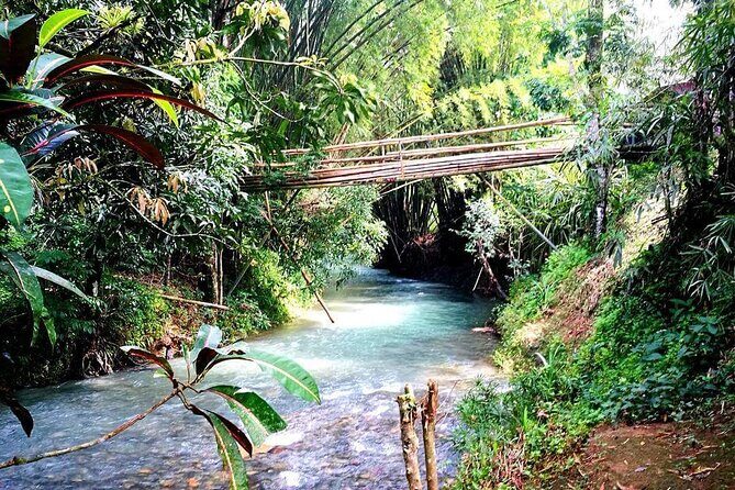 Mayfield Falls, Blue Hole & Rick's Café Tours/Weed Farm option - Price and what’s actually included in the $190