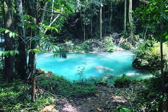 Mayfield Falls, Blue Hole & Rick's Café Tours/Weed Farm option - Stop 3: Rick’s Cafe in Negril at your own pace