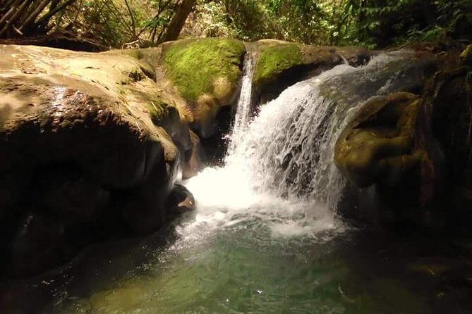 Mayfield Falls nature walk - Key things I’d watch for before you go