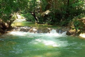 Mayfield Falls nature walk - The drive “in between”: culture stops that feel like Jamaica, not shopping