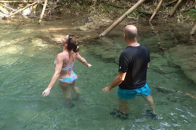 Mayfield Falls nature walk - Guides and the “river helper” difference at Mayfield Falls