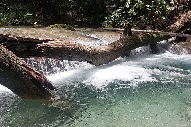 Mayfield Falls nature walk - What to wear and bring for a wet, walk-and-swim nature day