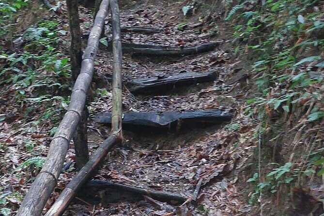 Mayfield Falls nature walk - Price and value: what $150 buys you in the real world