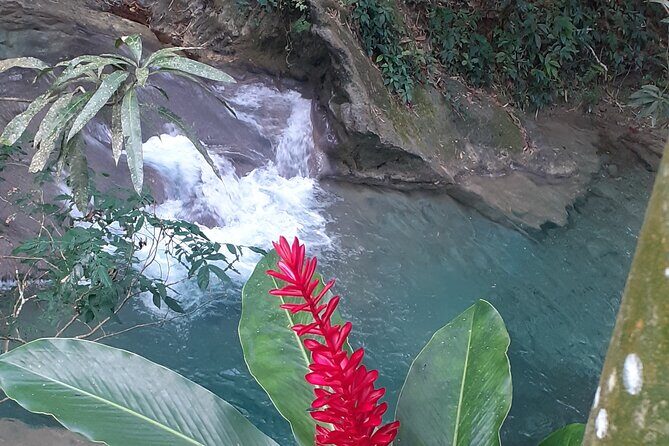 Mayfield Falls nature walk - Who this tour fits best (and who might want a different plan)