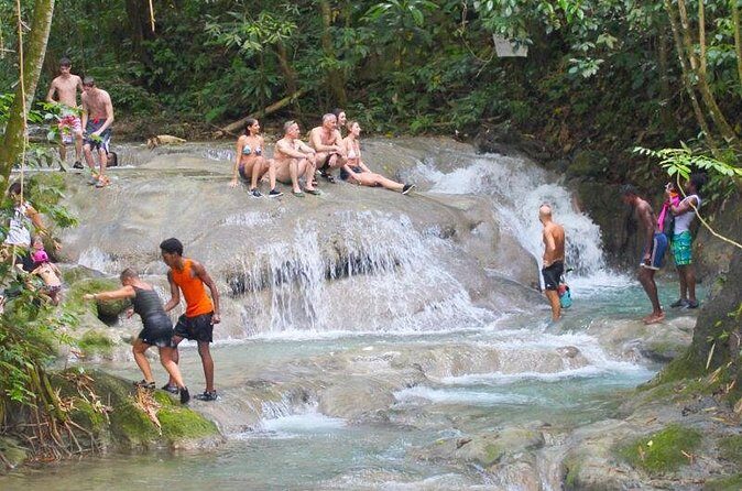 Mayfield Falls Private Tour - The Optional Waterfall-Chef Meal Plan