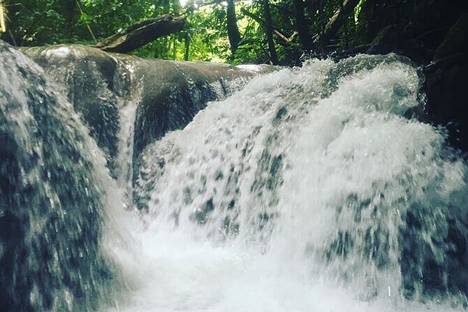 Mayfield Falls Tour with Lunch, drink, Entry & Transp(Original) - Guides You Might Get: Why names like Dave and Dennis matter