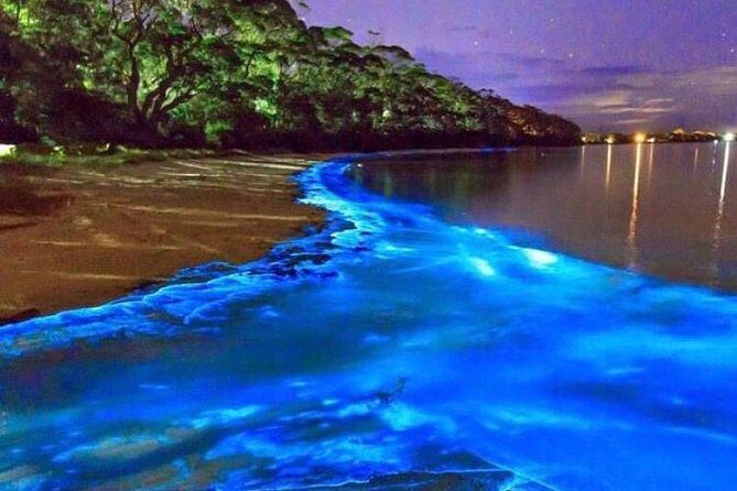 Mesmerizing Luminous Lagoon (Glistening Waters) Night Tour - Key things I’d bookmark before you go