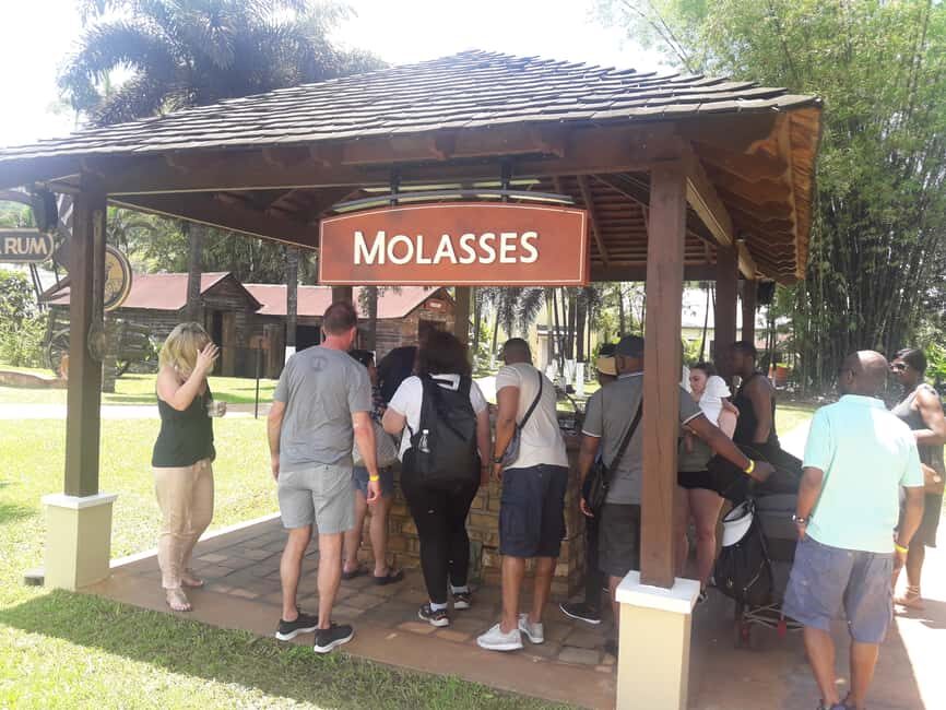 Montego Bay: 8-Hour Appleton & Pelican Bar Return Transfer - Montego Bay to Saint Elizabeth: that long drive is part of the day