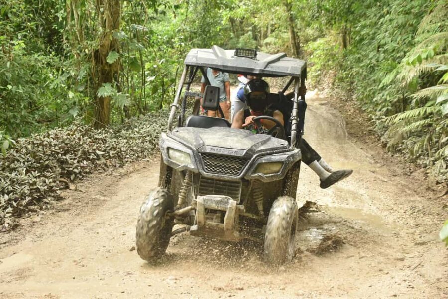 Montego Bay: ATV Ride Experience - Pickup Timing in Montego Bay: Arrive Early, Expect Real Life