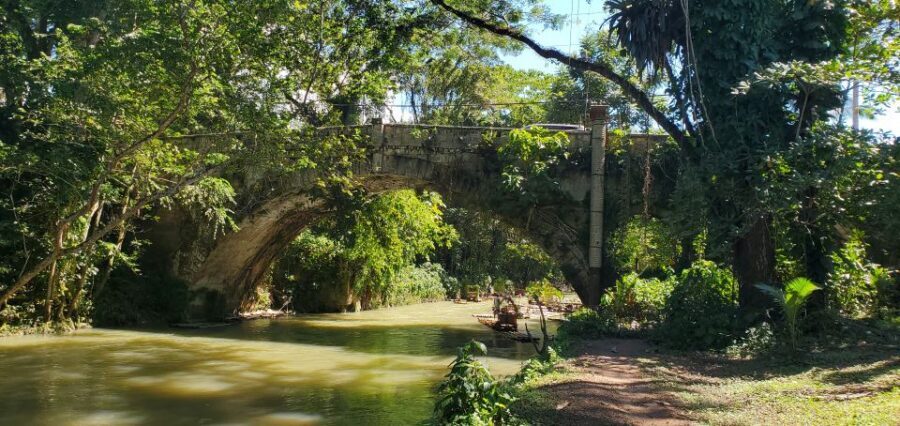 Montego Bay: Bamboo Raft Cruise on the Great River - Should you book this bamboo raft cruise in Lethe?