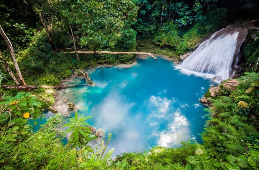 Montego Bay: Blue Hole, Dunn’s River, and Beach Club Trip - Dunn’s River Falls Climb: The Hand-Linked Experience and the Real Safety Lesson