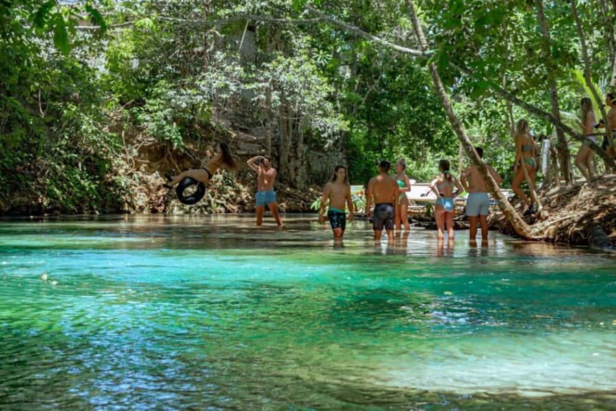 Montego Bay: Blue Hole, Dunn’s River, and Reggae Hill Tour - Price and Value: Is $159 Worth It for This Mix?