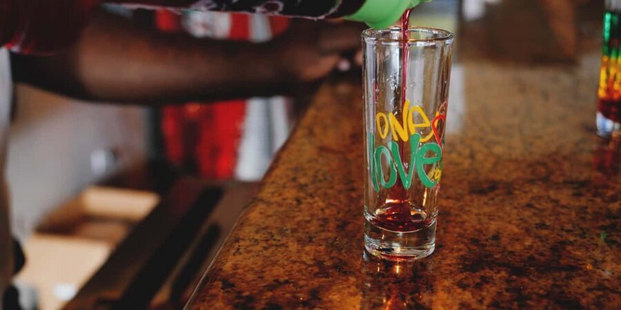 Montego Bay: Bob Marley Nine Miles Mausoleum Tour - Bob Marley Museum admission included: what you get for the money