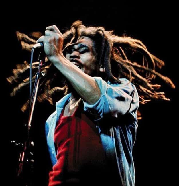 Montego Bay: Bob Marley Tour to 9 Mile, St. Ann - Key Things That Make This Tour Worth Your Time