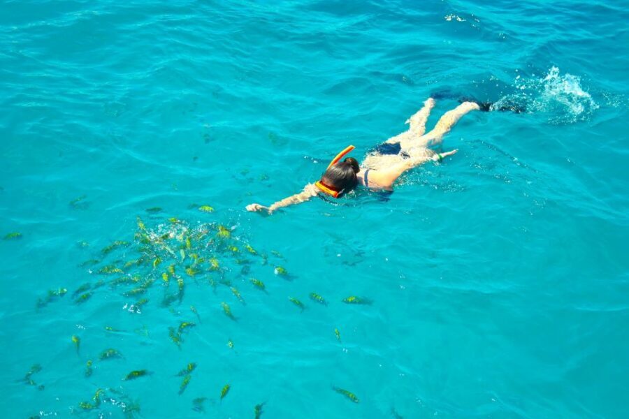 Montego Bay Catamaran Cruise and Snorkeling Tour - Key things that make this tour worth your time