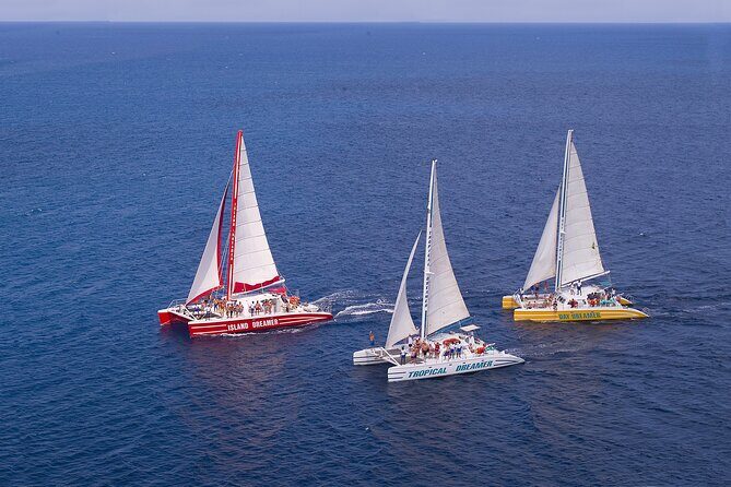Montego Bay Catamaran: Snorkel Tour with Open Bar & Reggae DJ - Montego Bay catamaran snorkeling: why this format works