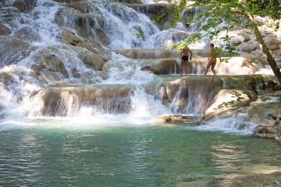 Montego Bay: Chuck Norris Falls & Dunn's River Falls Tour - Key highlights you’ll feel right away