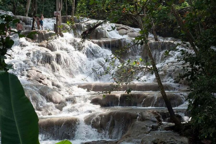 Montego Bay: Chuck Norris Falls & Dunn's River Falls Tour - What the tour feels like, based on real impressions