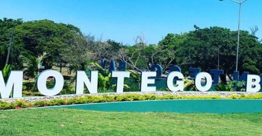 Montego Bay: City Highlights and Souvenir Shopping Tour - What to Buy (and How to Buy Without Regret)