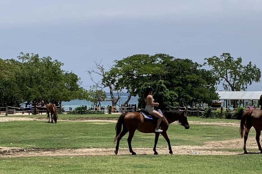 Montego Bay: Day Trip with Zipline, ATV, and Horseback Ride - The flow: how the 5 hours usually feel